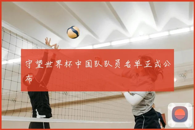 守望世界杯中国队队员名单正式公布