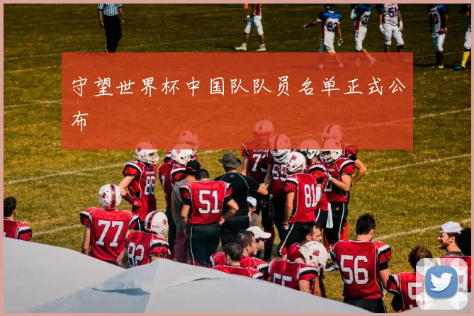 守望世界杯中国队队员名单正式公布